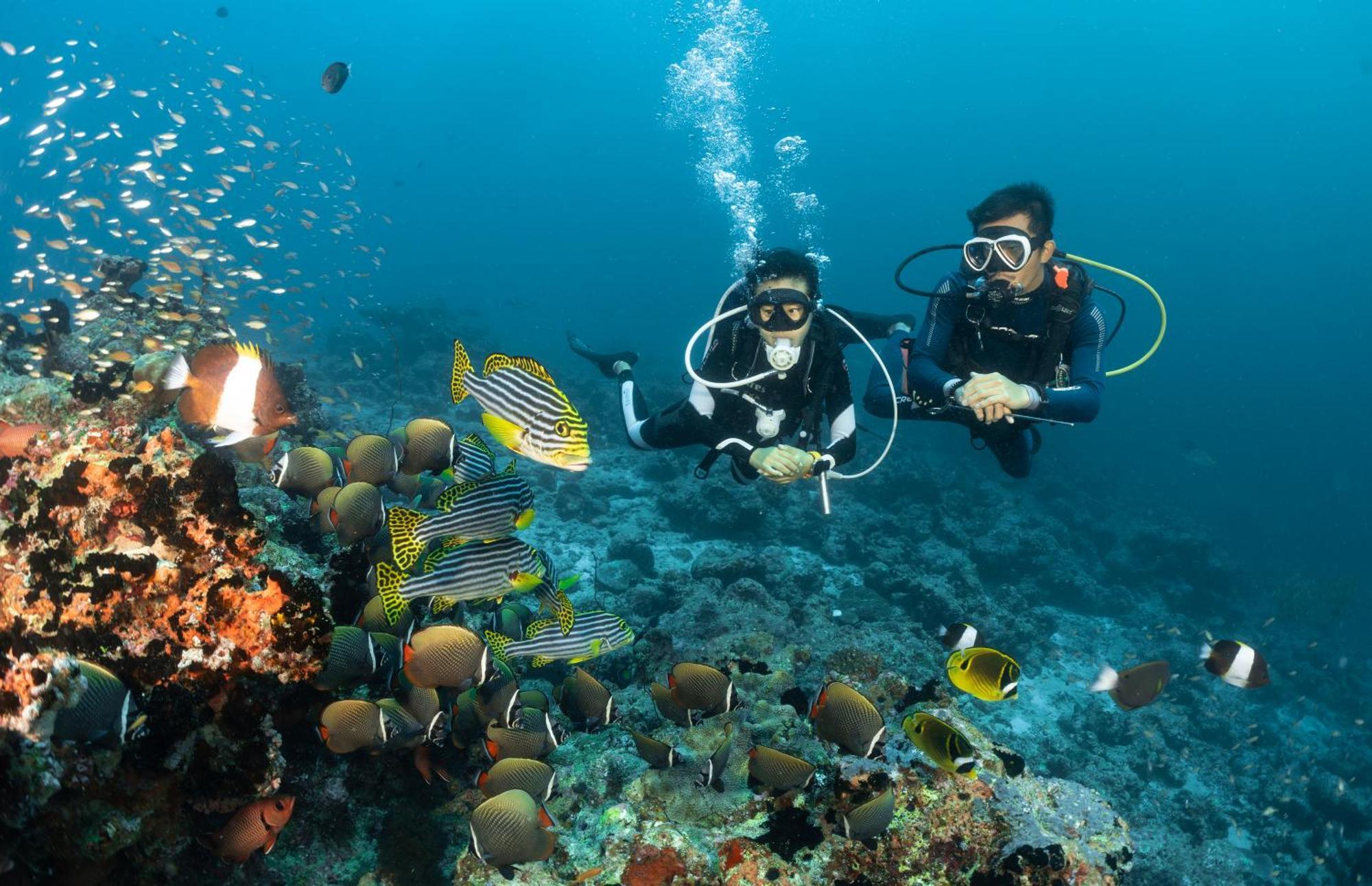 Bandos Maldives - One Way Transfer Free For Stays From 1St May Till 30Th Sept 2025 Bandos Island Екстер'єр фото